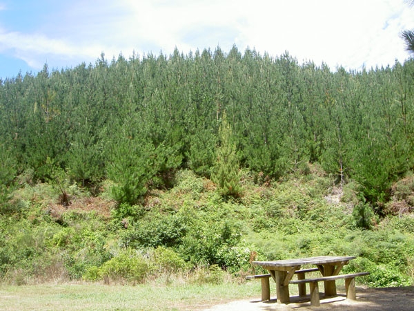 Wellington - Motueka